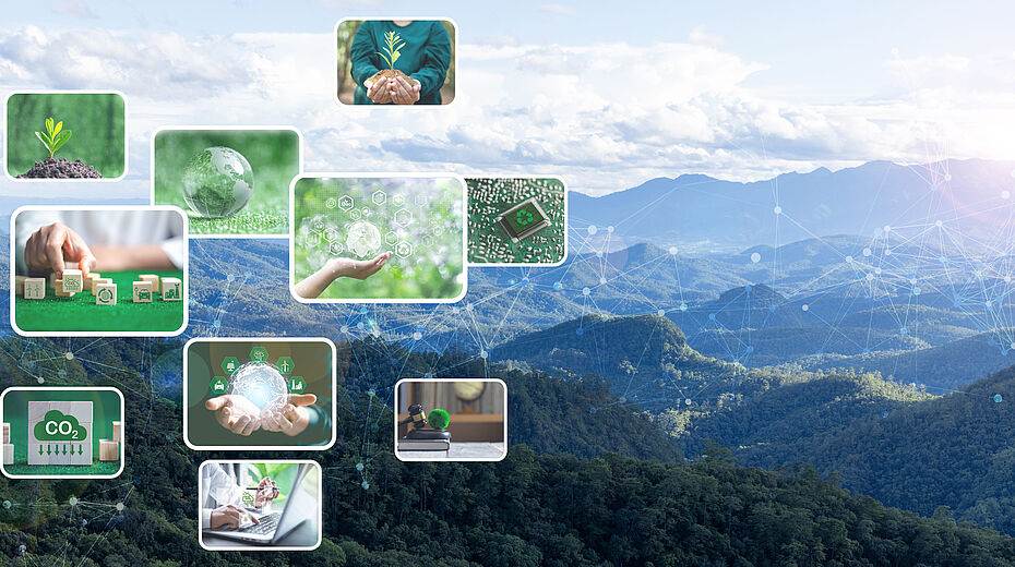 GED natura 29092026 Ripristino della Natura: ecco il Piano trasmesso all’Ue