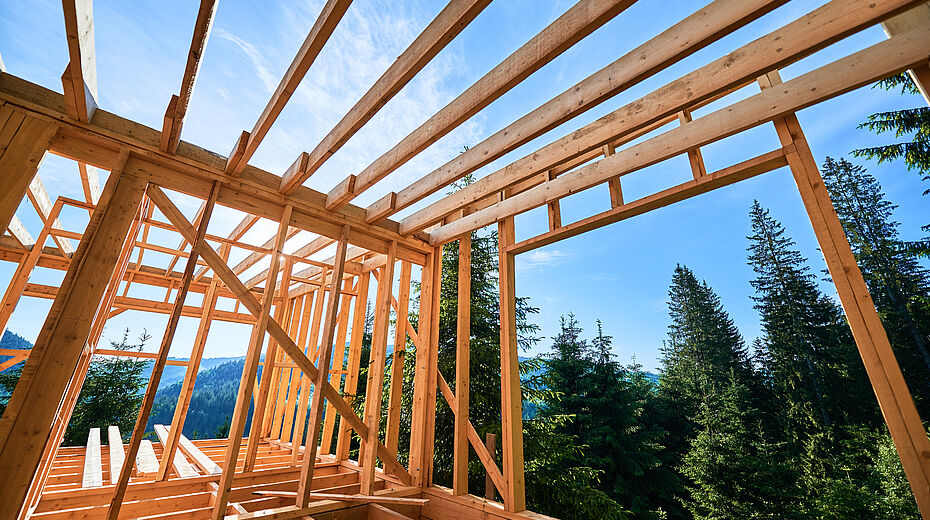 Filiera del legno: l’intesa per valorizzazione e diffusione