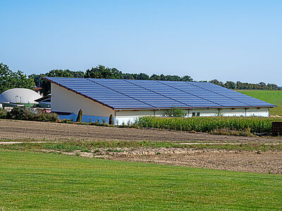 Agrisolare: scopriamo il bando Pnrr da 789 milioni di euro